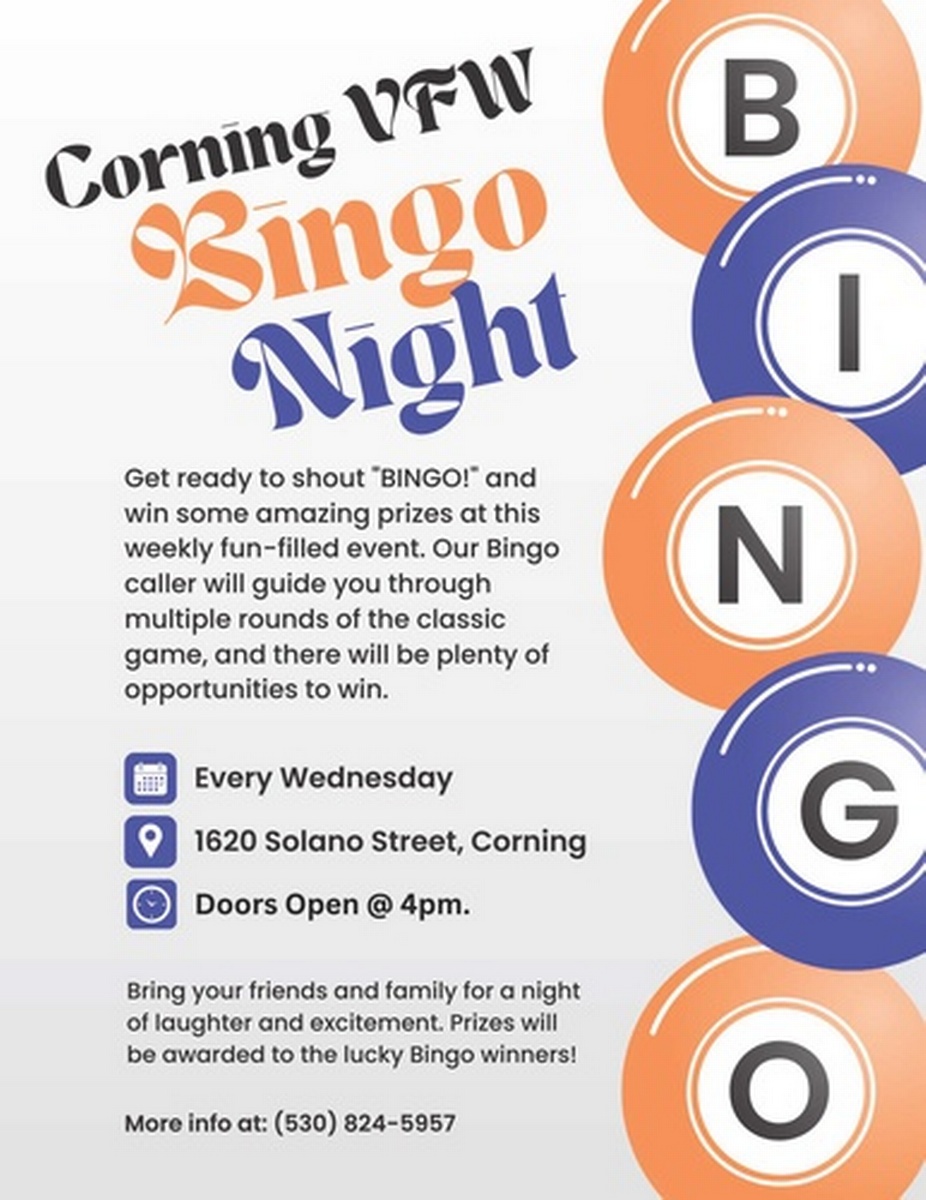 VFW Bingo Night Dec 27, 2023